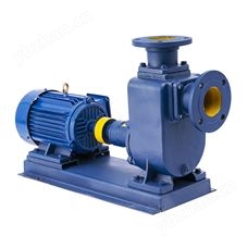 ZX150-170-65清水型自吸泵