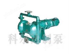 電動(dòng)隔膜泵
