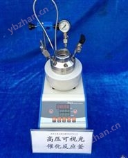 可視高壓反應釜