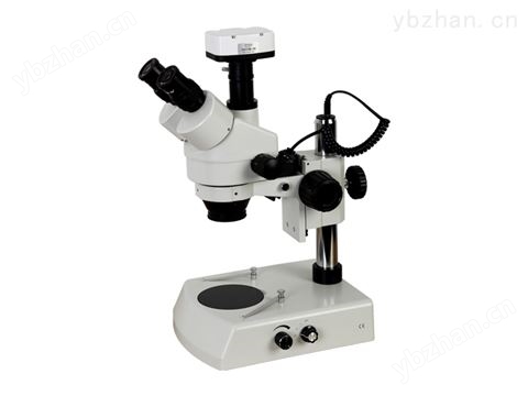 ZOOM-650
