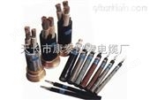CEH92/SA電纜,CEH82/SA電纜廠家供應-特種電纜