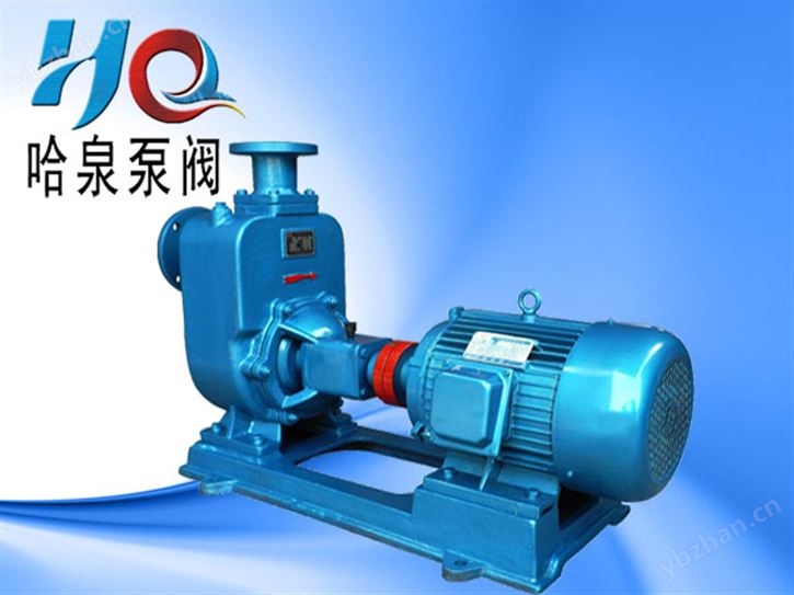ZW100-100-20 ZWP不銹鋼自吸泵