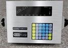 D2008称重仪表