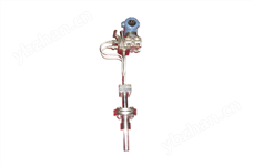 一体化均速管流量计