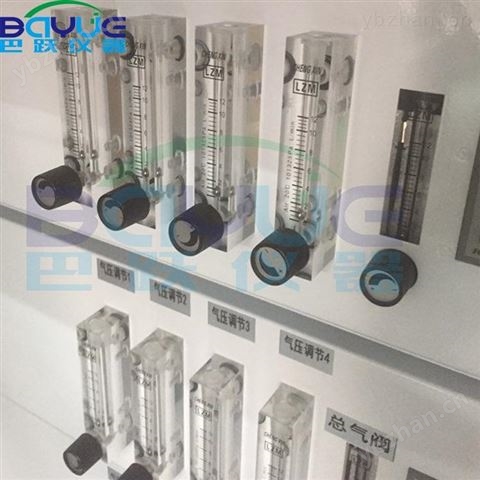 復(fù)旦大學(xué)硫化物酸化吹氣裝置BA-ZL6D